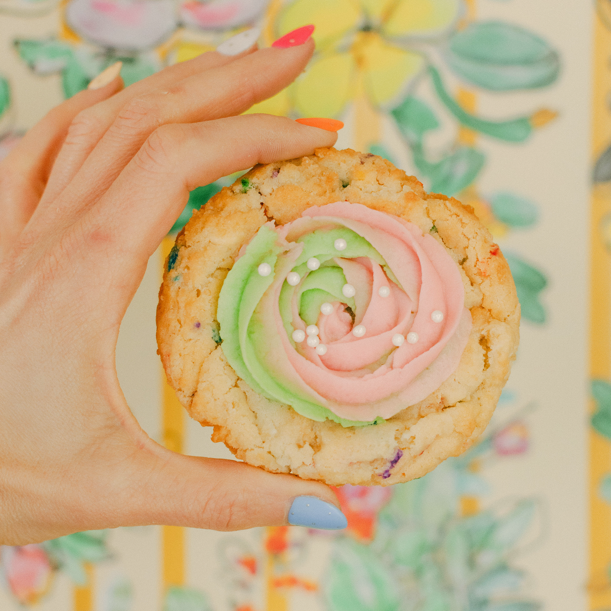 Hand holding a Robert Street Cookies Celebration flavour