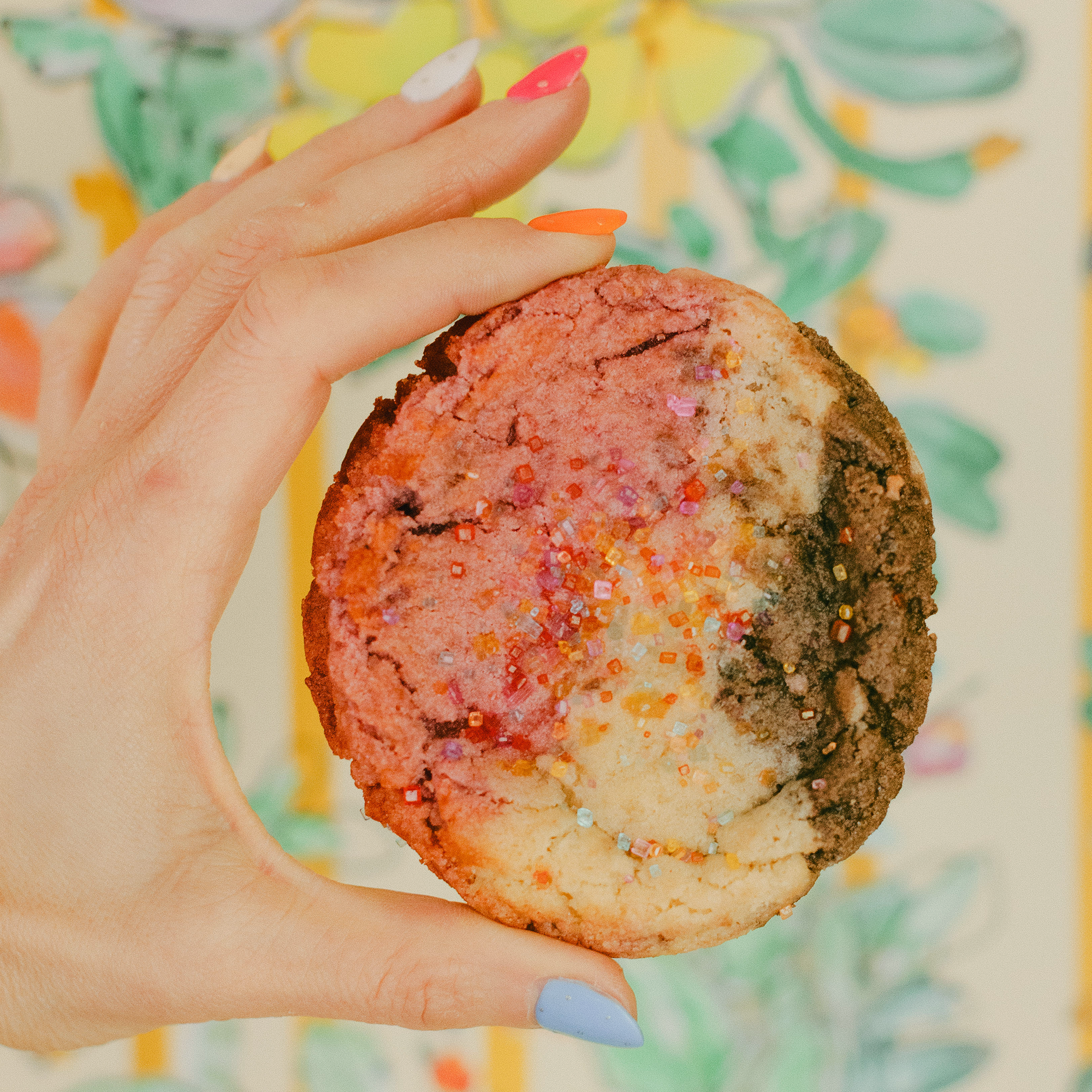 Hand holding a Robert Street Cookies Neapolitan flavour