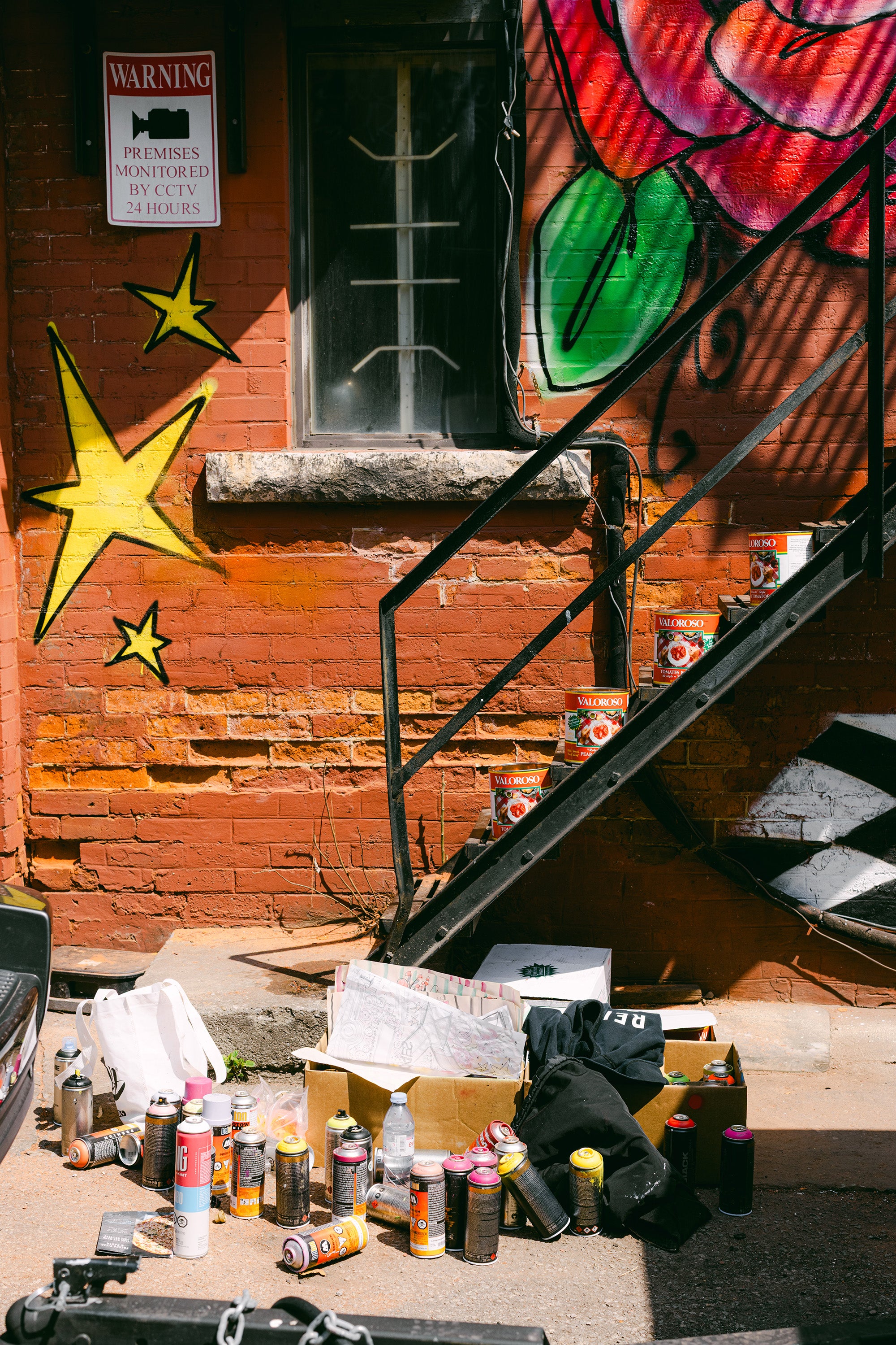 Artistic mural on a brick wall with stars and a rose.