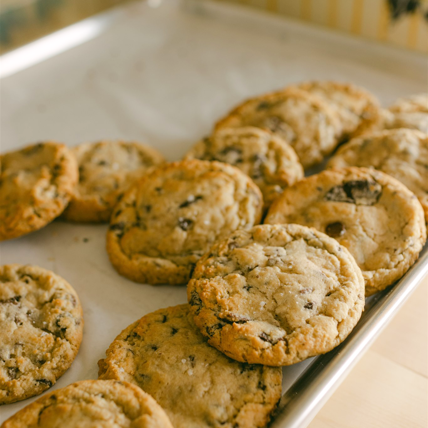 Tray of Robert Street Cookies Chocolate Chunk flavour